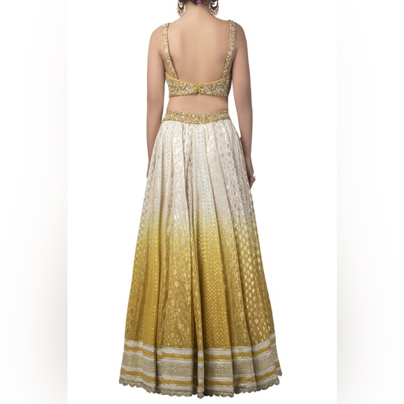 Priyanka Jain Lengha - White Printed And Embroidered Lehenga Set - Picture 3 of 5